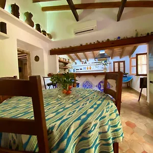 Apartment Puerto De Pollensa And Apartments, With Private Mountain Ideal For Runners, Trailers,near Approximately 5 Minutes Walking, Unique Experience In A Ullal Old Typical Mallorca House With Private Mountain And Near To The Beac, Port de Pollença
